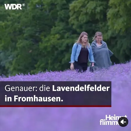 Detmolder Loft 3 Apartment Detmold