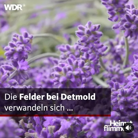 Detmolder Loft 3 Apartment Detmold